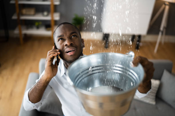 Best Water damage restoration near me  in Alva, OK