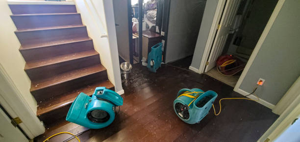 Best Flood restoration services  in Alva, OK