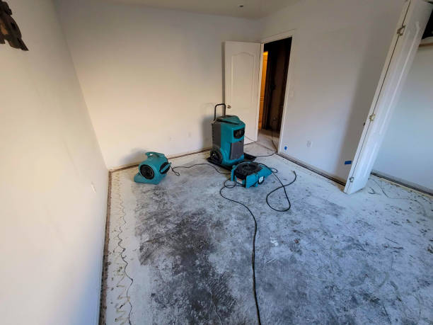 Best Flood damage cleanup  in Alva, OK