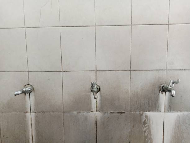 Best Carpet water damage restoration  in Alva, OK